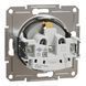 Розетка з заземленням, з захисними шторками, алюміній, Asfora Schneider Electric EPH2900261 фото 2