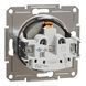 Розетка з заземленням, бронза, Asfora Schneider Electric EPH2900169 фото 2