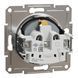 Розетка з заземленням, з захисними шторками, сталь, Asfora Schneider Electric EPH2900262 фото 2