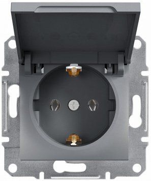 Розетка із заземленням, з кришкою, сталь, Asfora Schneider Electric EPH3100162 фото
